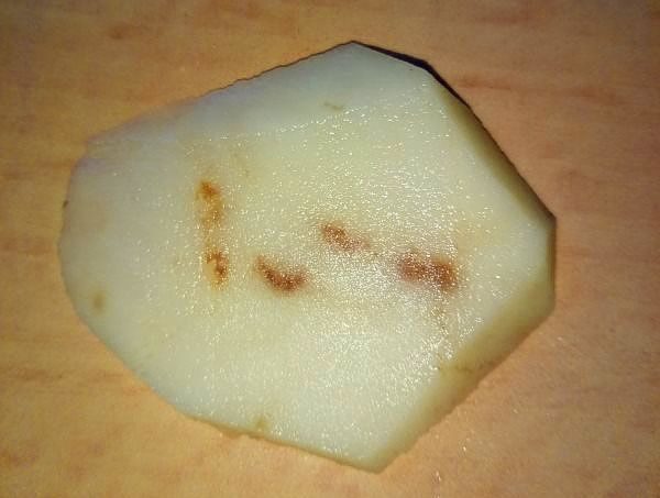  Brown spots in potato