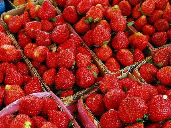  Erdbeeren sind das ganze Jahr über beliebt, sowohl im Sommer als auch im Winter. Daher wird dieses Geschäft nie Probleme mit den Kunden haben.