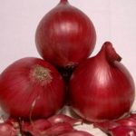 Red Onion Baron