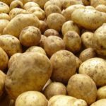  Varietal Potatoes
