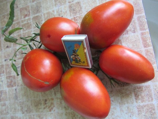  Tomat De Barao der Riese