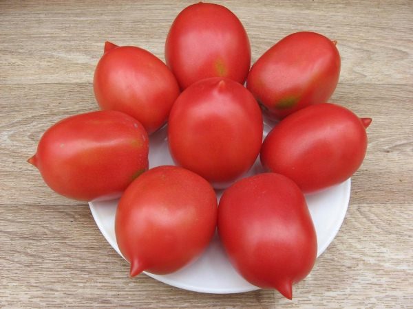  Tomate De Barao Tsarsky