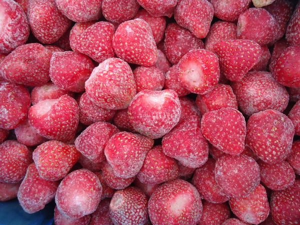  Florenzer Erdbeeren verlieren ihre Eigenschaften beim Einfrieren nicht