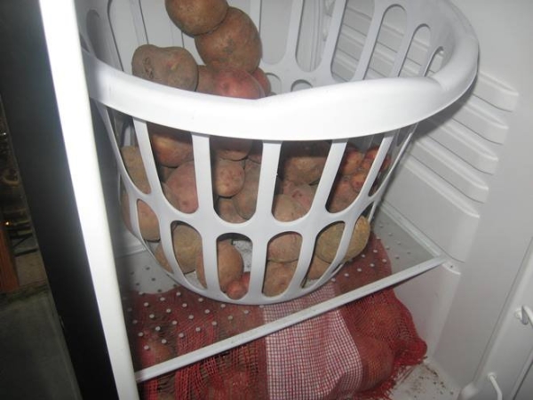  Μπορείτε να αποθηκεύσετε τις πατάτες στο ψυγείο για περισσότερο από 10-14 ημέρες, παρακολουθώντας το σχήμα t