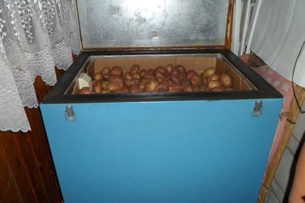  يمكنك تخزين البطاطس على الشرفة المعزولة