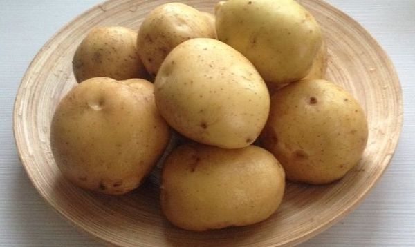  Πατάτες ποικιλίες Karatop
