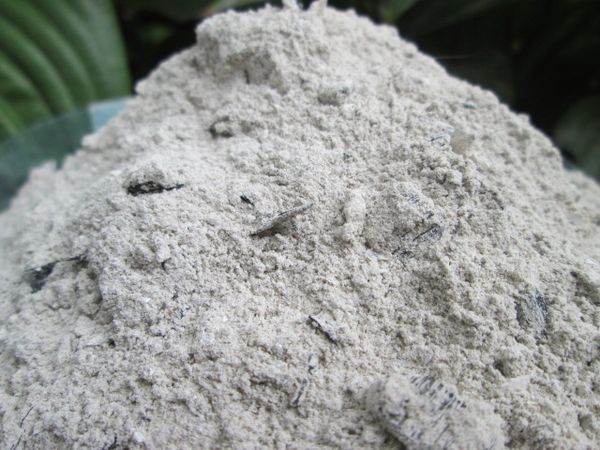  If the soil is oxidized, it must be treated with wood ash.