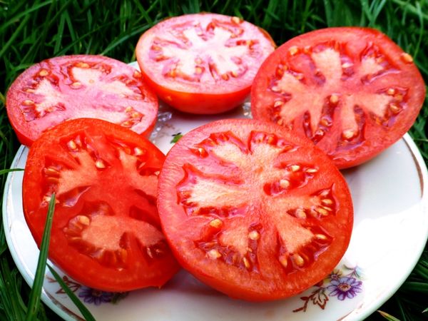  Pulpe de tomates mûres - rouge