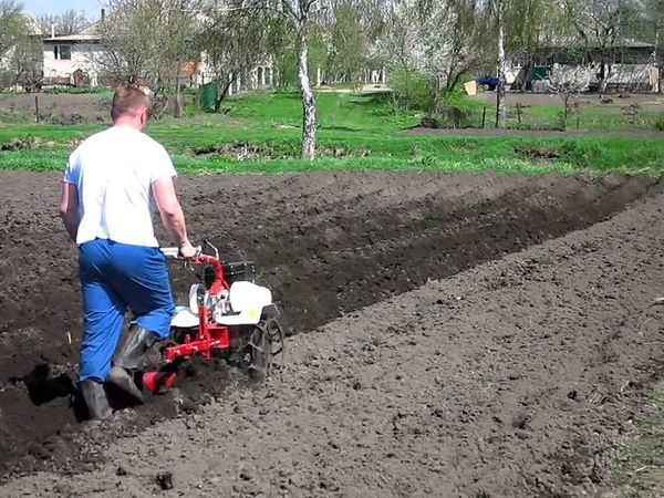  Spring is necessary to plow the land before planting.