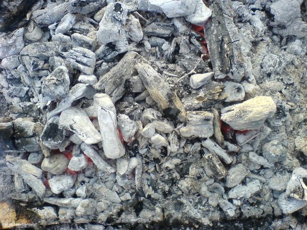  Wood ash contains large amounts of potassium and phosphorus.