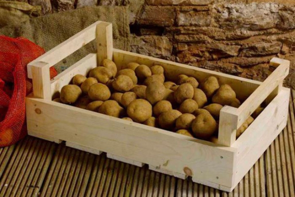  Este posibil să depozitați cartofi în frigider, pivniță, apartament și în alte locuri