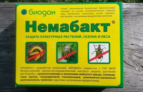  Nemabakt - the latest chemical agent against wireworm