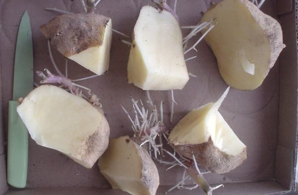  geschnittene Kartoffeln