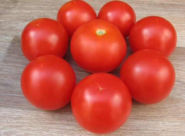  Tomate Sanka