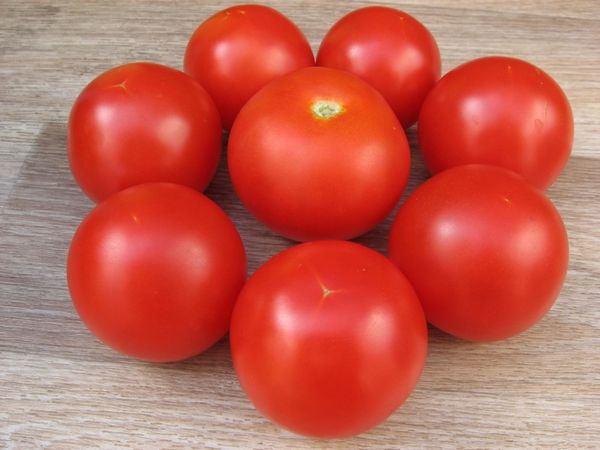  Tomato Sanka