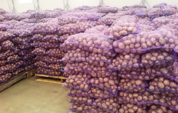  potato warehouse