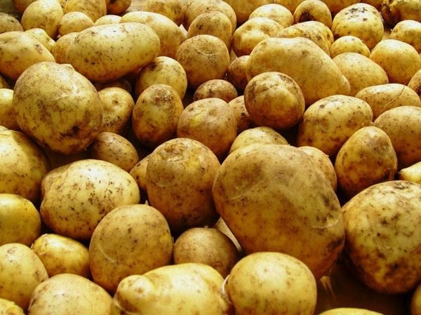  sole di patate