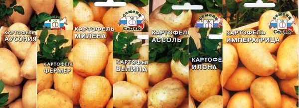  картофени сортове