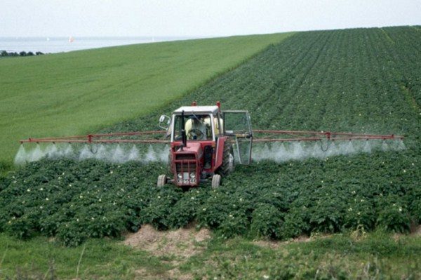  Herbizide Dauerbetrieb zerstören die Schutzhülle der Sämlinge, was zum Tod der zukünftigen Pflanze führt