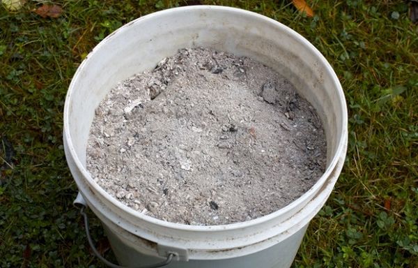  Folk remedy for the Colorado potato beetle - wood ash