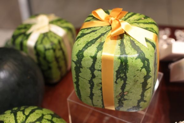  Geschenk Quadrat Wassermelone