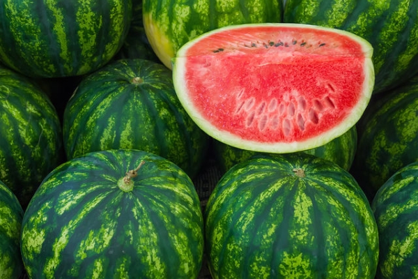  Ist Wassermelone eine Beere, Obst oder Gemüse? Nutzen und Schaden des Fötus