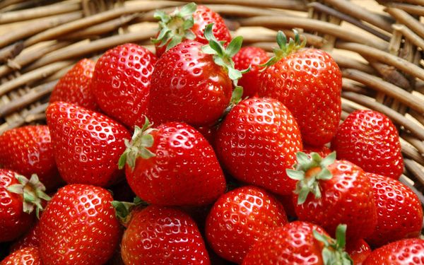  Как да увеличите добива на ягоди
