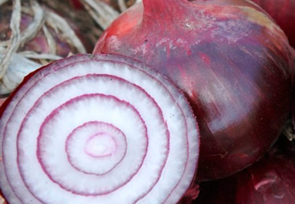  Crimean onion in the cut