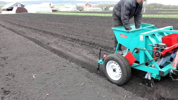  Planter du semoir à l'ail