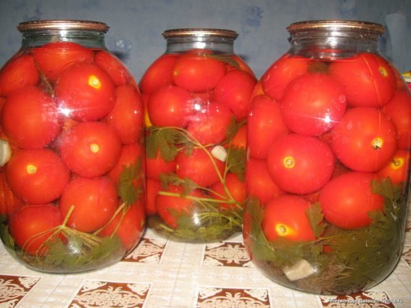  Conserves De Tomates Variété Andromède