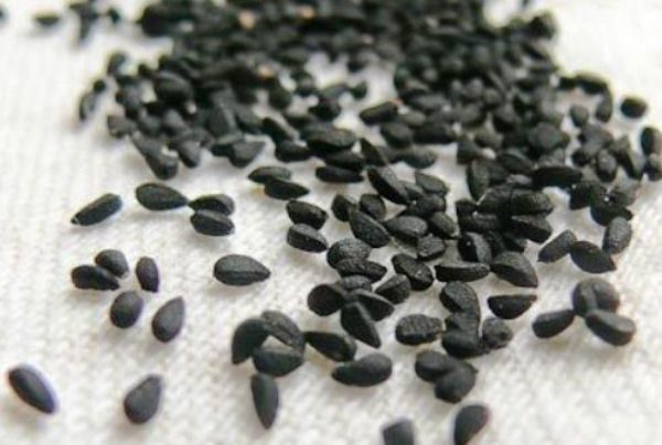  Verificarea semințelor de germinare Chernushka