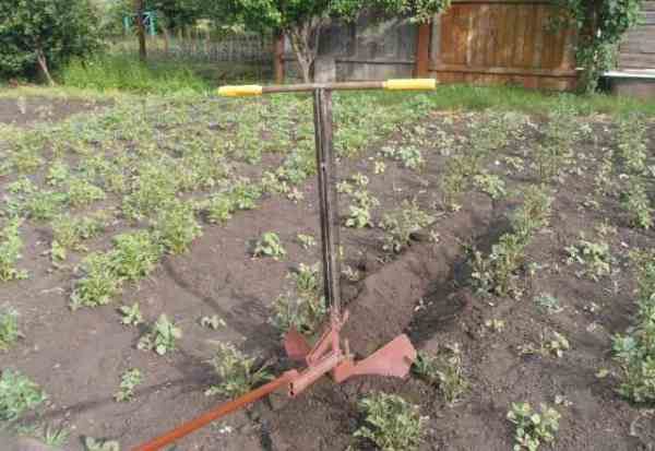  Arado manual para plantar patatas.