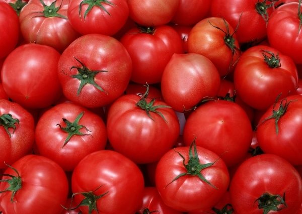  Tomato Hali Ghali mempunyai ciri khas - muncung kecil di bahagian bawah janin