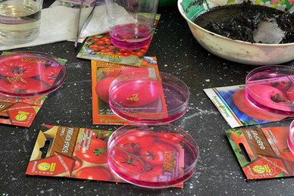  Дезинфекциране на доматени семена преди засаждане