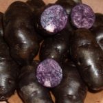  Cartofi francezi purpurii de trufe