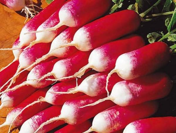  Petit-déjeuner français aux légumes racines