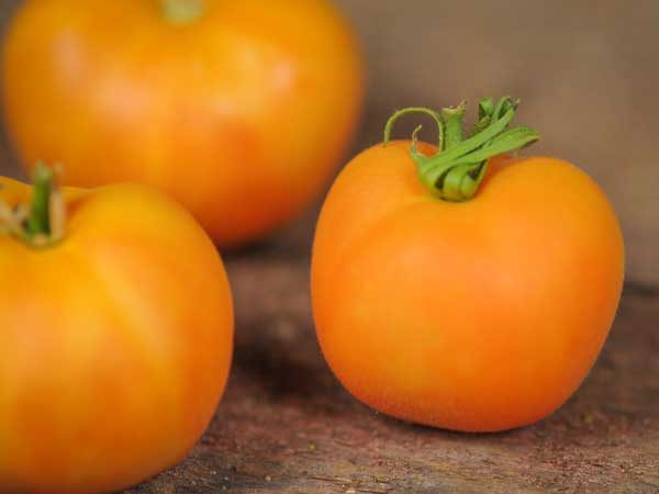  Variedad híbrida de tomate melocotón