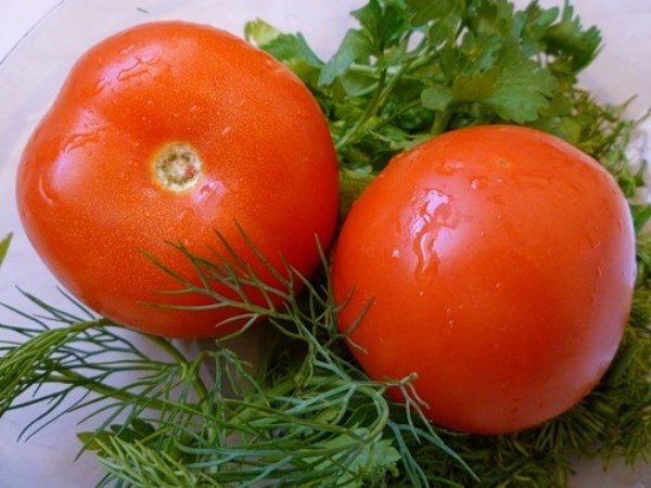  초미의 다양한 토마토 미스테리