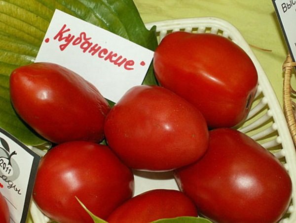  Tomato gred Kuban