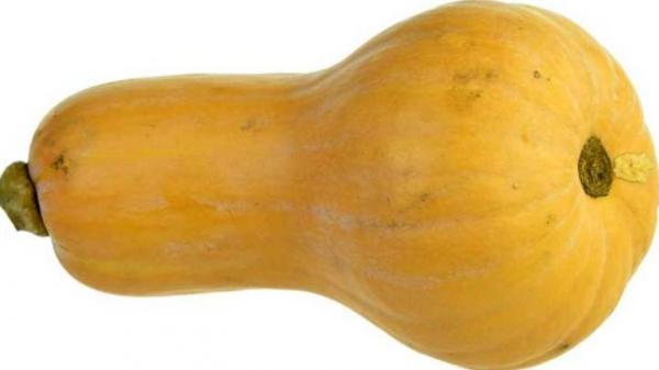  Citrouille Butternat 1.5-3kg