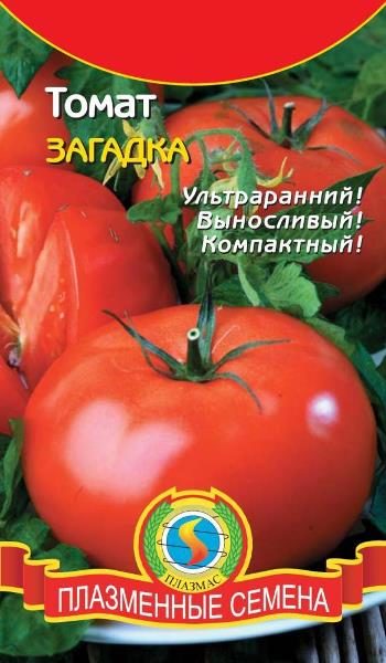  Riddle Sementes De Tomate