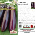  Variétés d'aubergines pour serres