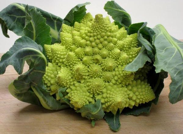  Chou Romanesco