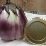  Variétés d'aubergines pour serres