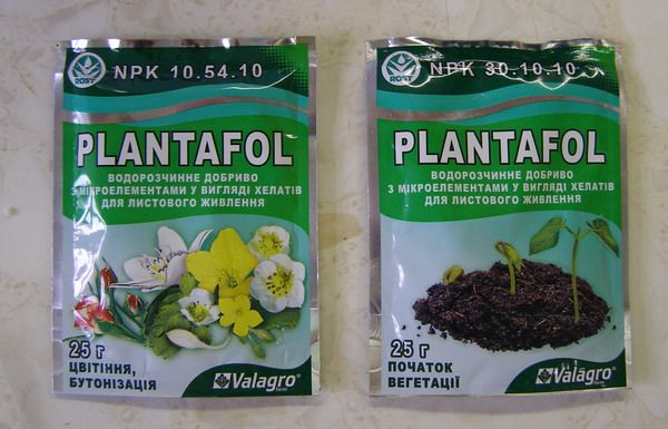  Như một thức ăn bạn có thể sử dụng phân bón hợp chất Plantafol