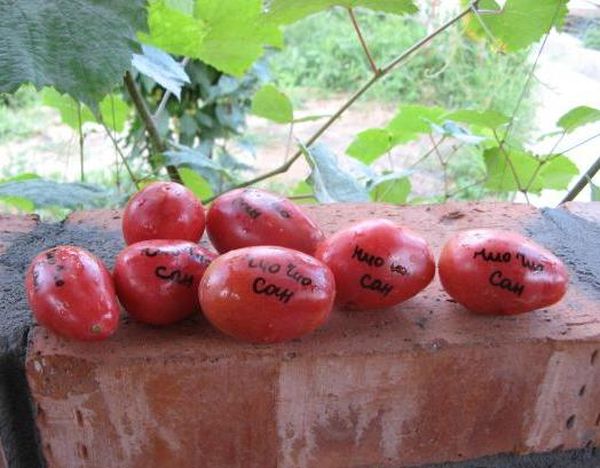  Тегло на плода на домати - около 40 грама