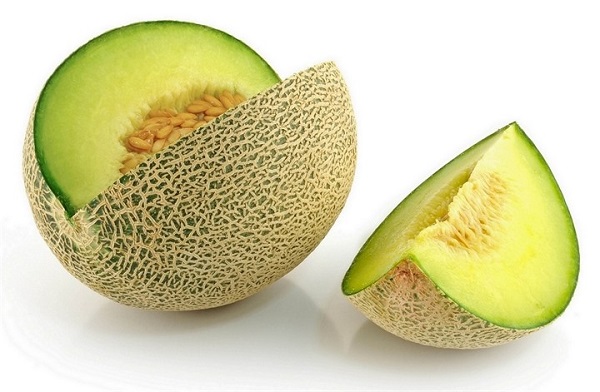  Melon cantaloup