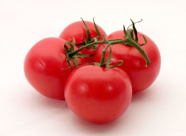  Tomat Tanya