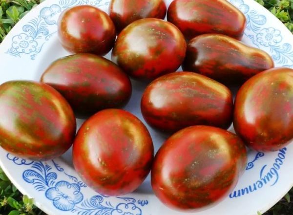  Tomaten-Schwarzmoor