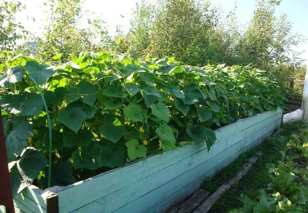  La place sous la crête chaude devrait être bien éclairée